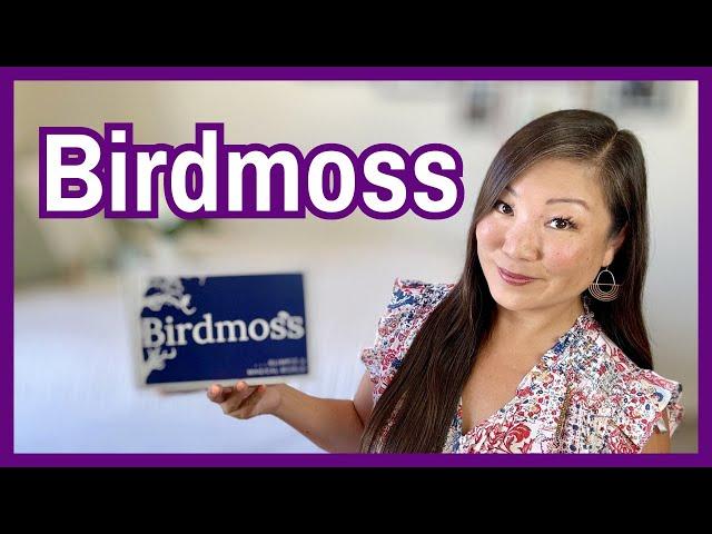 Birdmoss | The Snails | July 2024