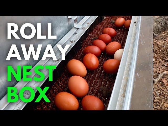 No More Dirty Broken Eggs! How to Install a Hengear Roll Away Nest Box