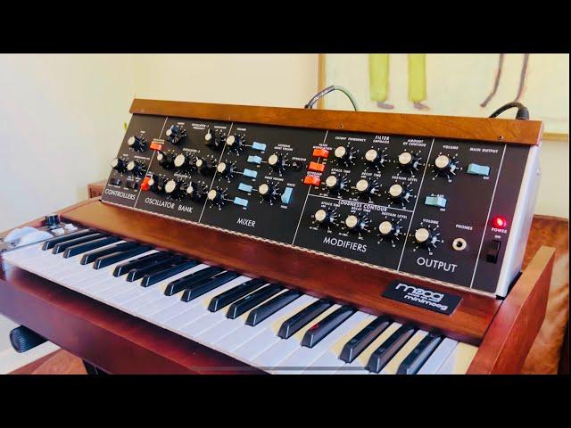 Minimoog Model D | Live Performance with looping pedal