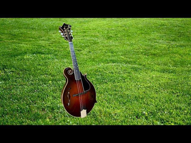 Every Bluegrass Mando Player Should Know This Lick I Mandolin Lesson