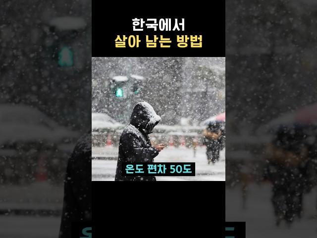 한국에서 살아남는 방법