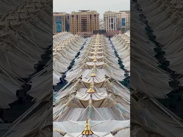 madina #foryou #religion #hajjpackage #muslimpilgrimage #love #saudimarket #hajj #hajj2023