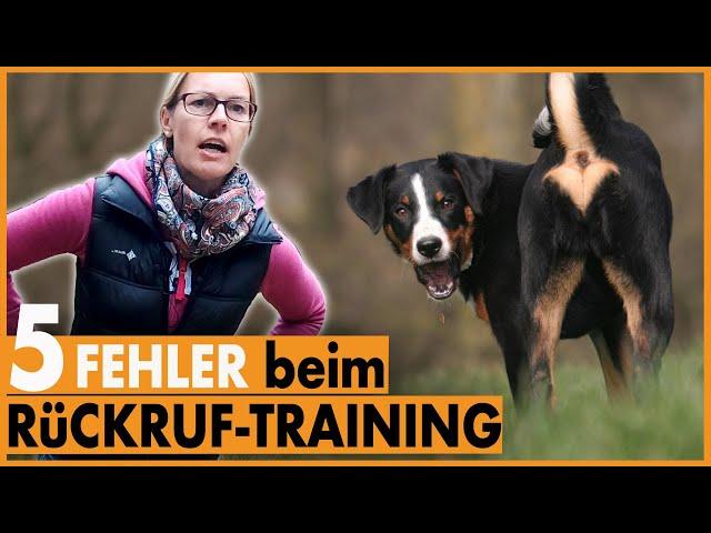 Hund kommt nicht I 5 häufige Fehler beim Rückruftraining I Das solltest du unbedingt vermeiden