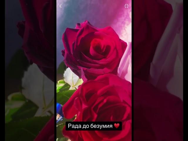 Делюсь позитивом,после просмотра видео у вас будет +1 радость сегодня ставь + #позитив #эмоции #да