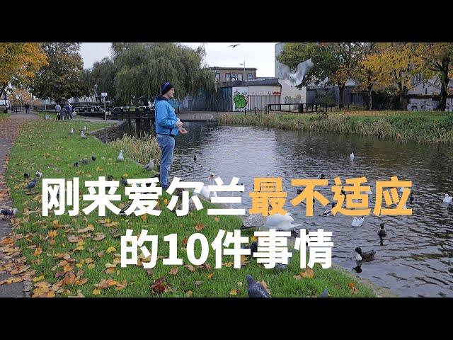 中国人刚来爱尔兰会最不适应的十件事情  Top 10 things Chinese may feel uncomfortable after arriving in Ireland