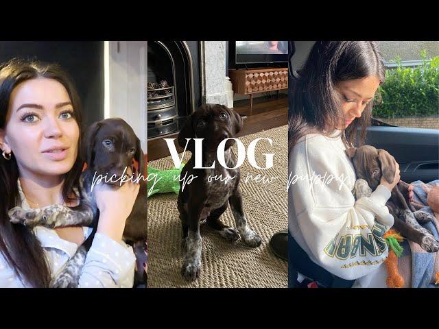PICKING UP OUR NEW PUPPY! | VLOG