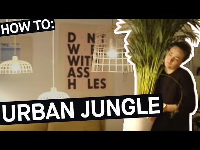 How to: Mit Zimmerpflanzen zum Urban Jungle || PULS Reportage