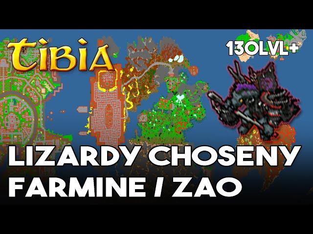 EXP I PROFIT - Tibia - Lizardy Choseny Farmine - Zao Fire Dragon Dojo / Temple of Equilibrium