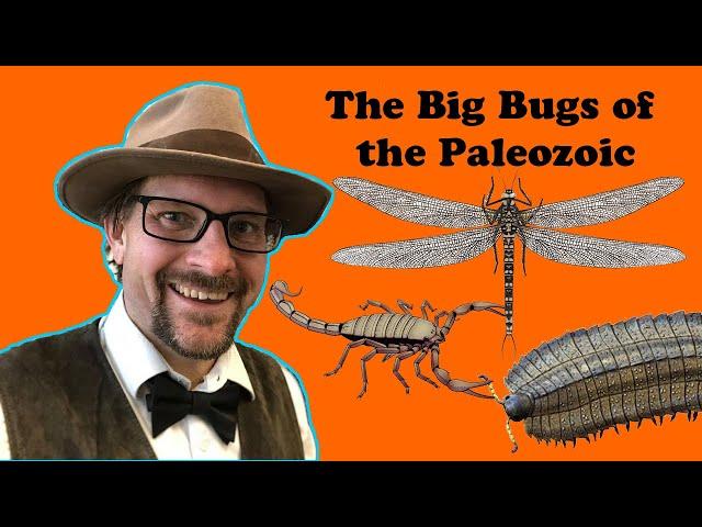 The Big Bugs of the Paleozoic!