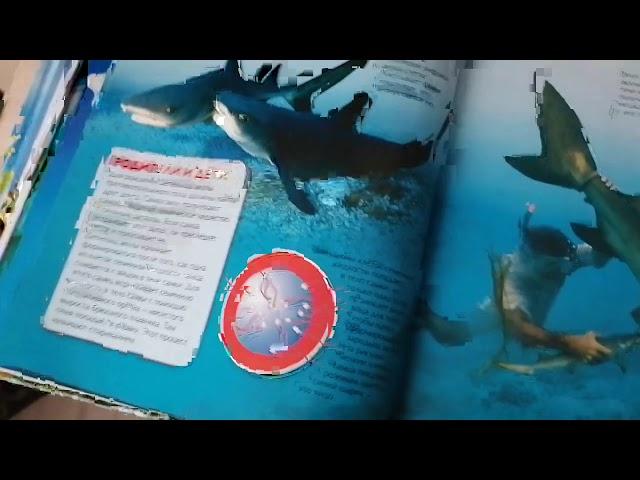Детская энциклопедия "Акулы"
