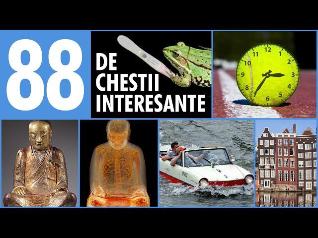 88 de Chestii Interesante #4