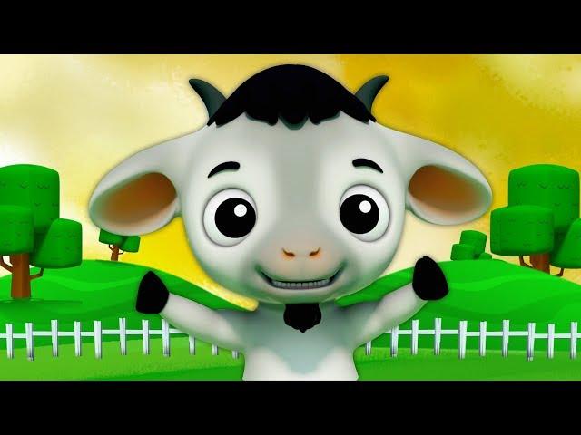 Baby Goat | Kindergarten Nursery Rhymes Videos |  Cartoon For Children by Kids Baby Club