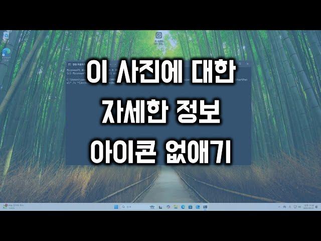 이 사진에 대한 자세한 정보 아이콘 없애기