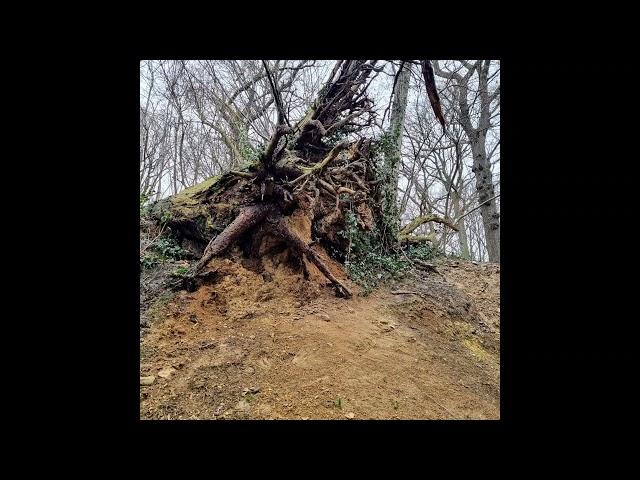 Rondje omgeving Schin op Geul, Oud Valkenburg.       6/2/2024.