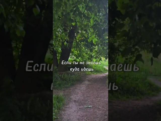 Про ЖИЗНЬ #психология #жизнь #стратегия #развитие #счастье #мастерская_жизни_марии_сергеевой