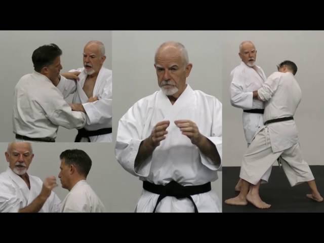 KATA BUNKAI SERIES Vol-3 (3 DVD Set) by Patrick McCarthy Koryu Uchinadi