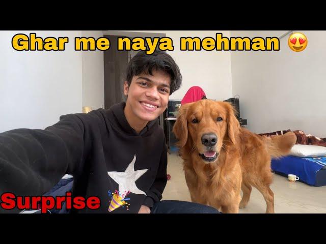Ghar mai aya naya mehman  || Adarsh singh vlogs