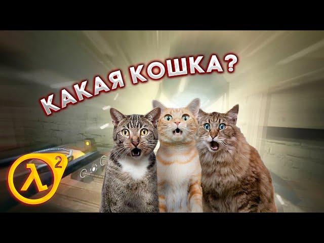 Как выполнить достижение "Какая кошка" в Half-Life 2