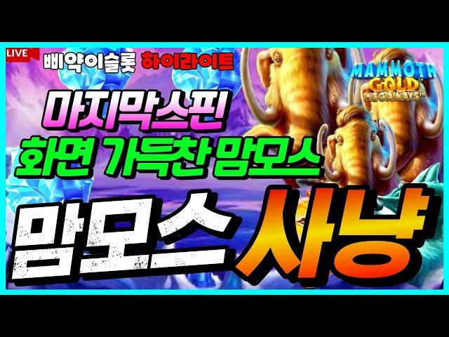 [방송영상] 맘모스골드메가웨이즈 한판가득 맘모스 사냥성공![슬롯][프라그마틱][잭팟][바카라][카지노][강원랜드]