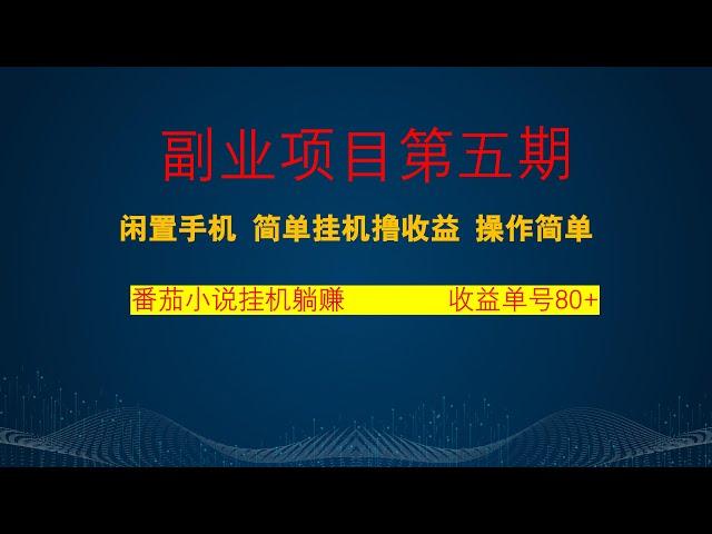 番茄小说无脑挂机，闲置手机每天躺赚80+