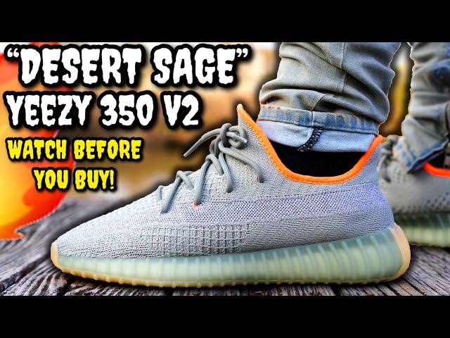 ADIDAS YEEZY BOOST 350 V2 DESERT SAGE REVIEW & ON FEET! WATCH BEFORE YOU BUY!