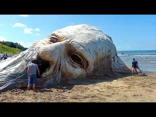 Largest Sea Monsters Ever Caught On Camera