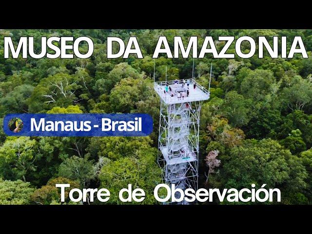 THE TALLEST TOWER IN THE AMAZON in the Jungle / MANAUS - BRAZIL, (MUSA) AMAZON MUSEUM #brazil