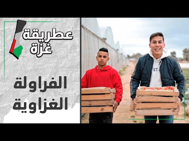 الفراولة الغزاوية زي العسل - ع طريقة غزة
