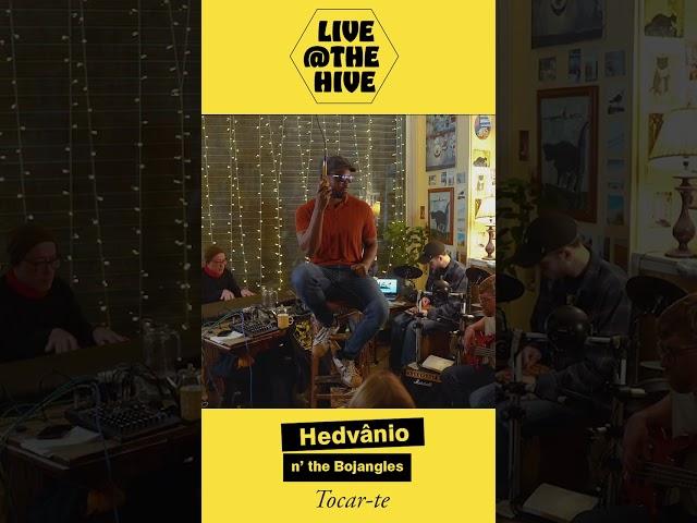 Tocar te - Live at the Hive - Hedvanio and the Bojangles