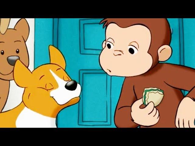 Georges le Petit Singe Le Concours Canin Saison 1 Épisode Complet Dessins Animés