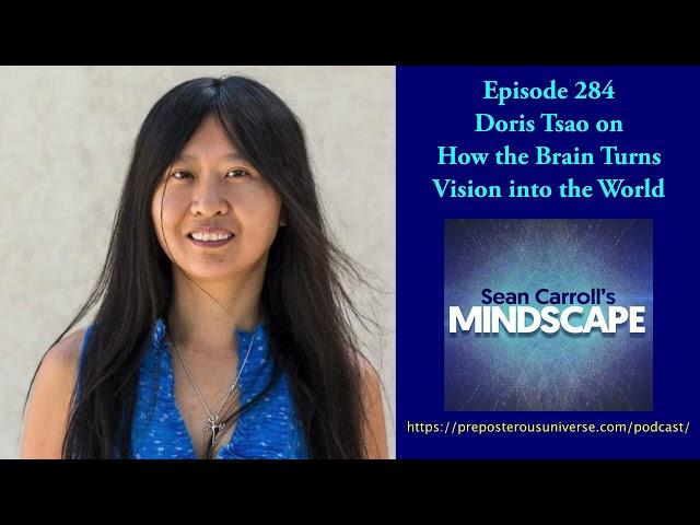 Mindscape 284 | Doris Tsao on How the Brain Turns Vision Into the World