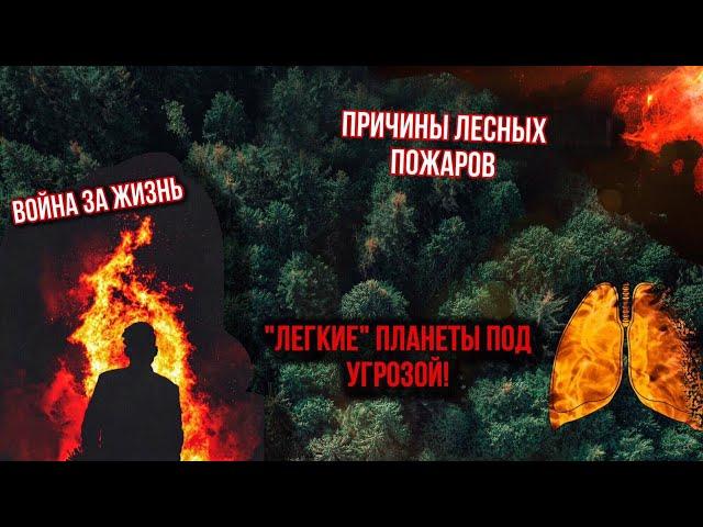 ПОЧЕМУ ГОРИТ ЛЕС?//ОСНОВНЫЕ ПРИЧИНЫ ПОЖАРОВ//ЛЕСНЫЕ ПОЖАРЫ 2021