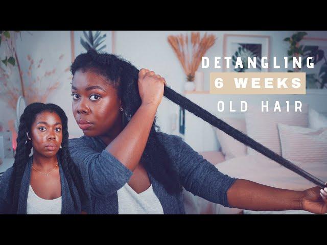 DETANGLING MY NATURAL HAIR AFTER 6 WEEKS OF NOT WASHING | Obaa Yaa Jones