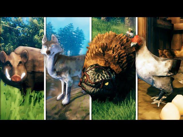 Valheim - The Complete Taming & Breeding Guide! (incl. Chickens)