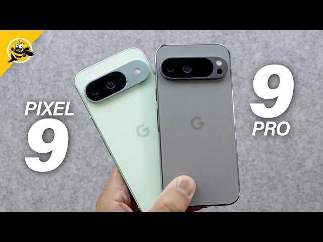 SAVE YOUR MONEY? Google Pixel 9 vs Pixel 9 PRO