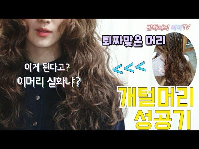 퇴짜맞은 개털머리 히피펌 성공