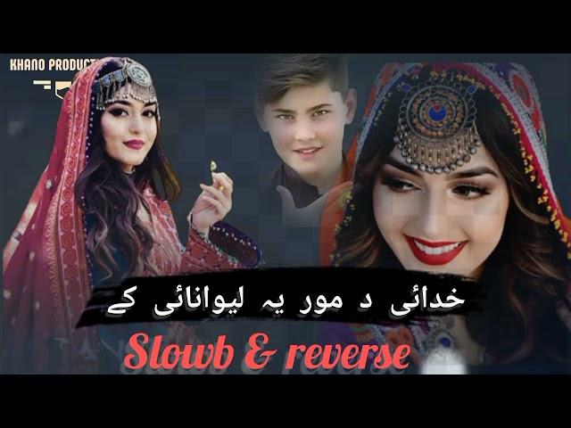 خدائی د مور یہ لیوانائی کے|| پشتو نوی سندری || pashto best song | KHANO production #song #pashtosong