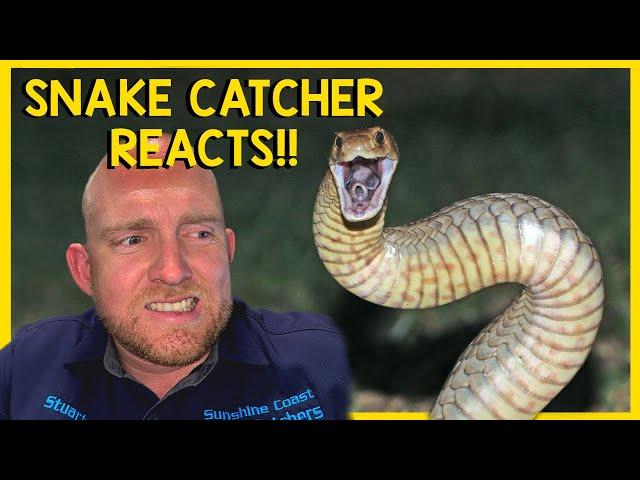 SNAKE CATCHER REACTS!!!