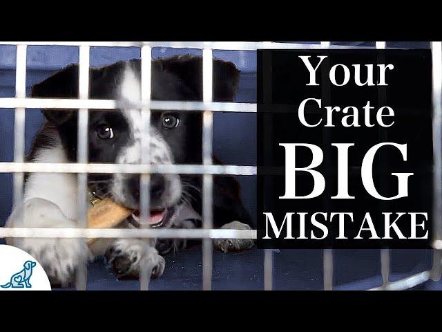 The BIGGEST Mistake People Make With Crate Training A Puppy