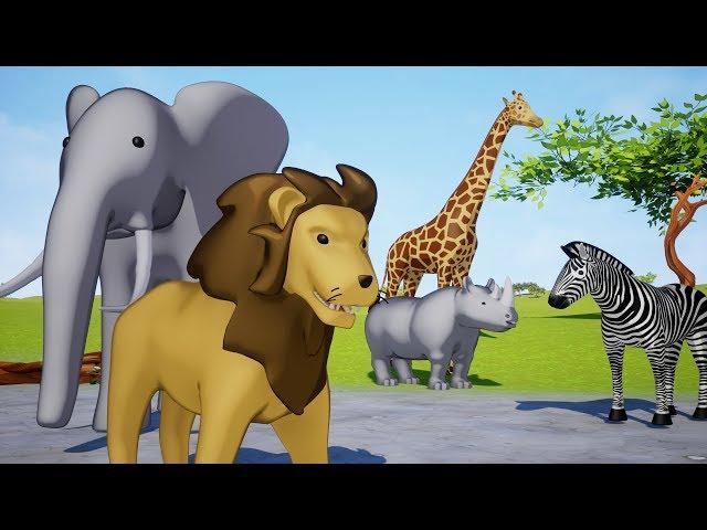 Wild animals name and sound