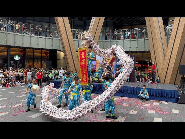 【2023 馬來西亞龙狮节大汇演】World Dragon & Lion Dance Extravaganza (Msia)~ Dragon Dance by Xuan Long 玄龙舞龙表演 #8