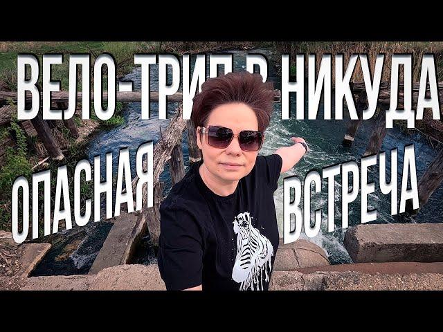 Велопрогулка обернулась АДРЕНАЛИНОМ! Занесло в глушь, аварийный мост и ЗЛАЯ СОБАКА!