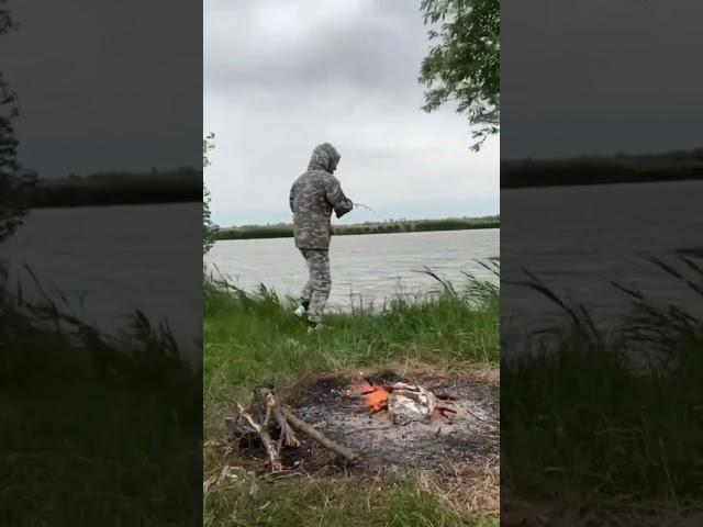 огромный подлещик #fishing