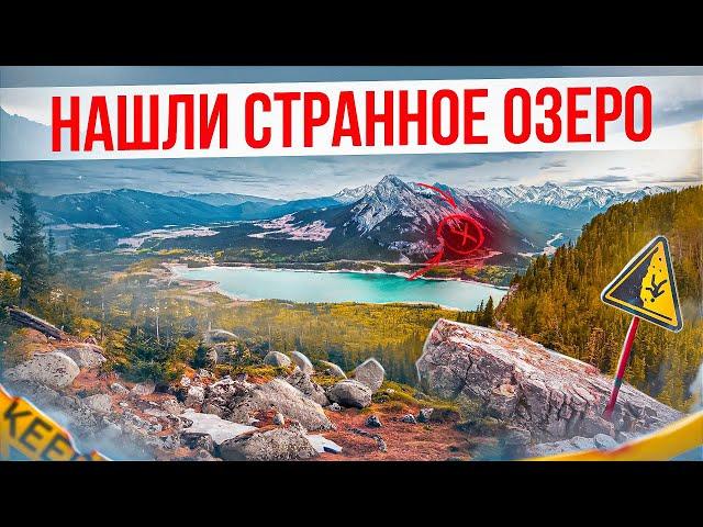 НЕЧТО ПОРАЗИЛО ВСЕХ. ПЕРЕСЕКЛИСЬ С МЕДВЕДЕМ