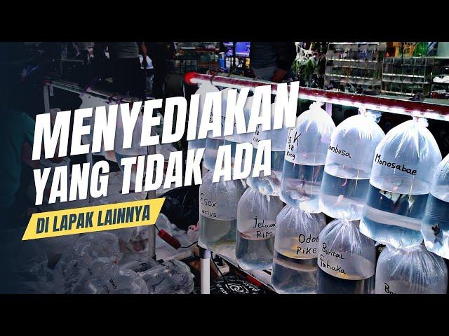 IKAN YANG JARANG ADA BISA ADA DI LAPAK INI !!! UPDATE HARGA IKAN PREDATOR DAN TANKMATE DI JATINEGARA