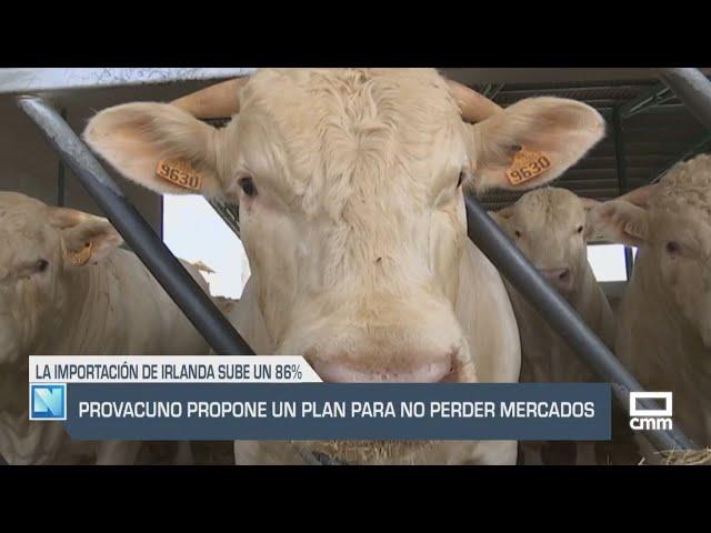 El Campo | Provacuno propone un plan para no perder mercados | 06/03/25