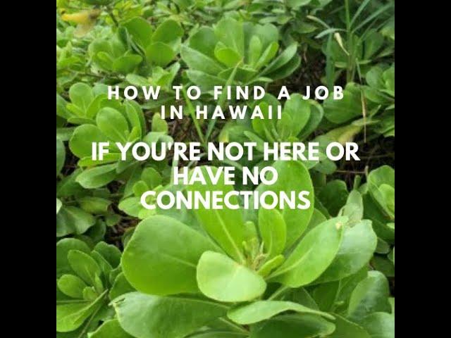 How To Find A Job In Hawaii When You’re Not Here Or If You Have No Connections