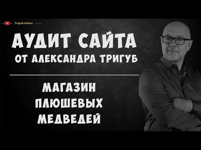 Аудит магазина плюшевых медведей. Анализ сайта на ошибки с рекомендациями. Пример аудита сайта.