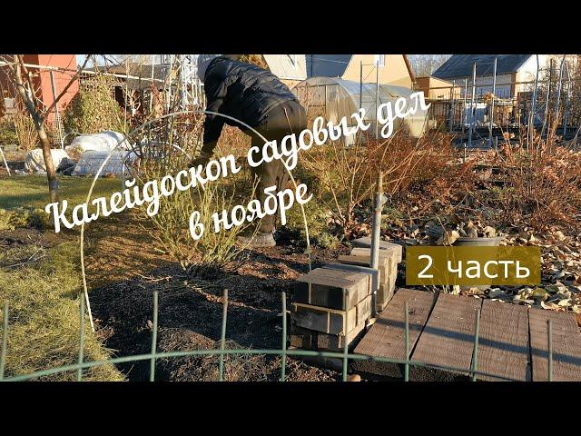 #сад Калейдоскоп садовых дел в ноябре. 2 часть.