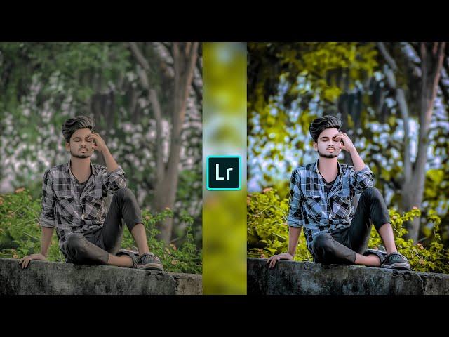 New Lightroom grey and yellow tone photo editing//preset download free//